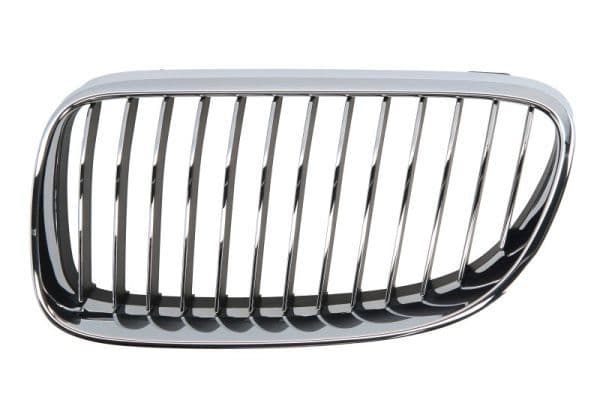 Grila radiator BLIC 6502-07-00629915PP