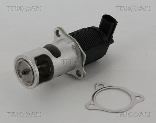Supapa EGR TRISCAN 8813 25005