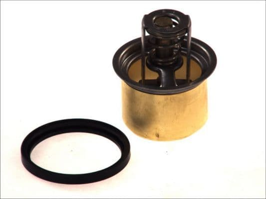 termostat,lichid racire THERMOTEC D2RV001TT