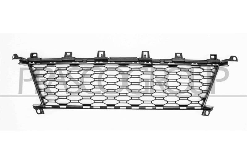 Grila ventilatie, bara protectie PRASCO BM0352120