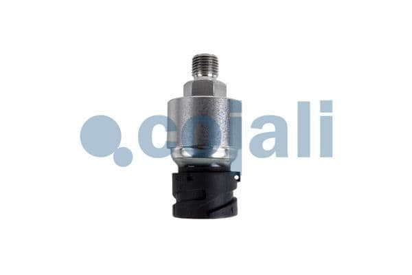 Senzor COJALI 2260755