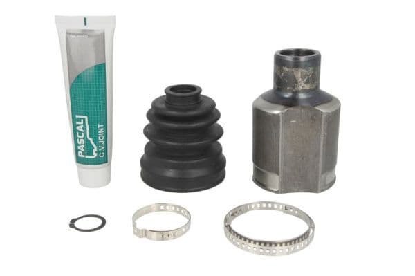Set articulatie, planetara PASCAL G80001PC