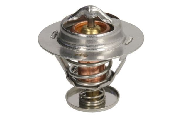 termostat,lichid racire THERMOTEC D2AG017TT