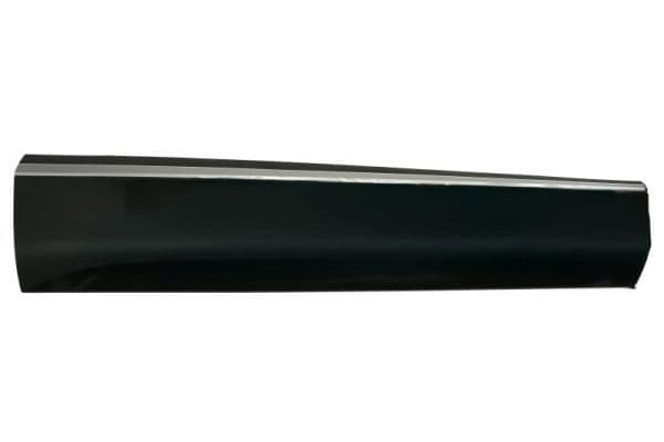 Elemente decorative/protectie, portiera BLIC 5703-04-7807572P
