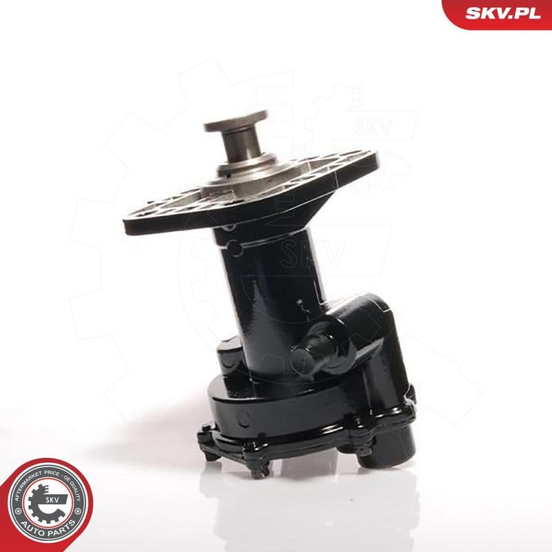 pompa vacuum,sistem de franare ESEN SKV 18SKV011