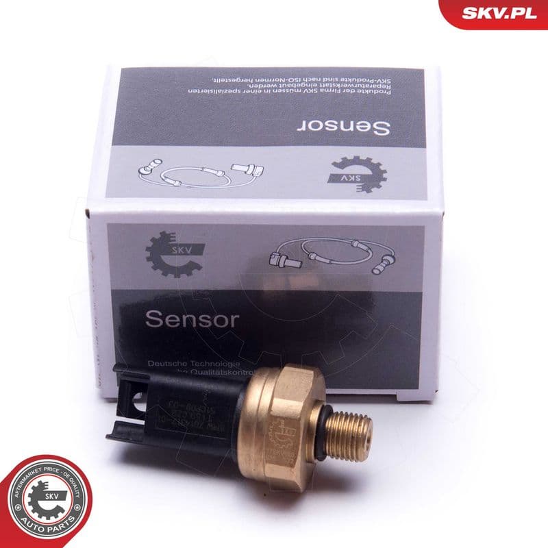 Senzor, presiune combustibil ESEN SKV 17SKV620