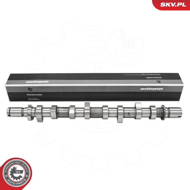 Ax cu came ESEN SKV 80SKV055
