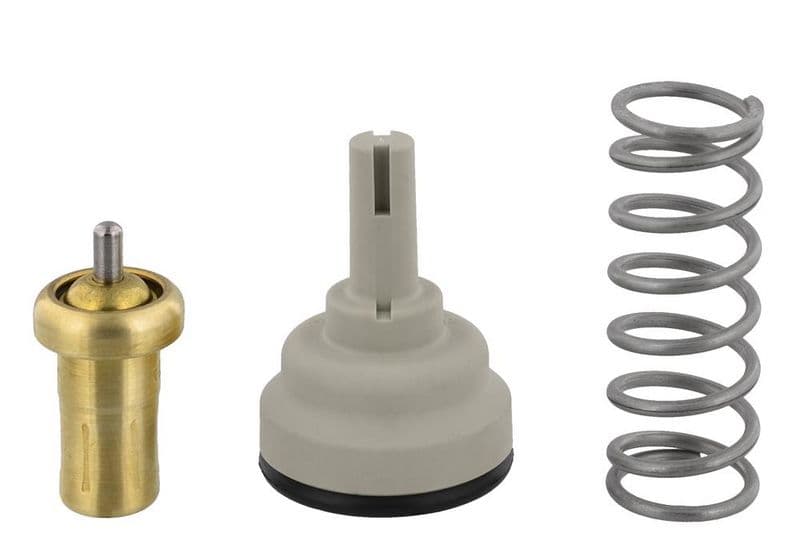 termostat,lichid racire TOPRAN 113 295