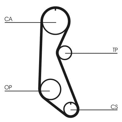 Curea de distributie CONTINENTAL CTAM CT816