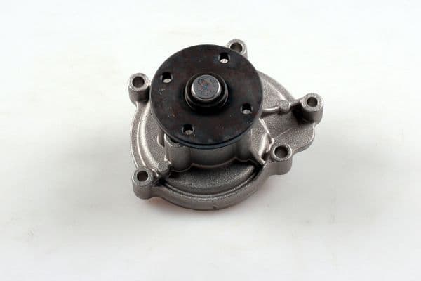 Pompă de apă, răcire motor HEPU P1515