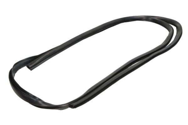 Elemente decorative/protectie, parbriz BLIC 5703-04-6037665Q
