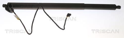 Amortizor portbagaj TRISCAN 8710 11305