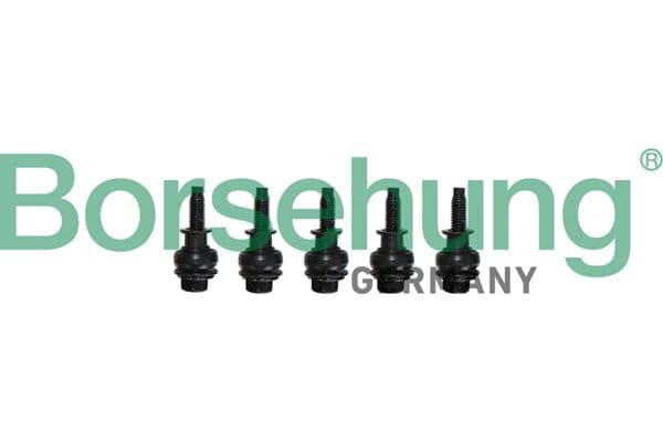 Garnitura capac, distributie BORSEHUNG B10628