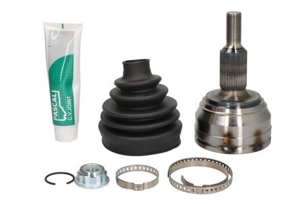 Set articulatie, planetara PASCAL G1W058PC