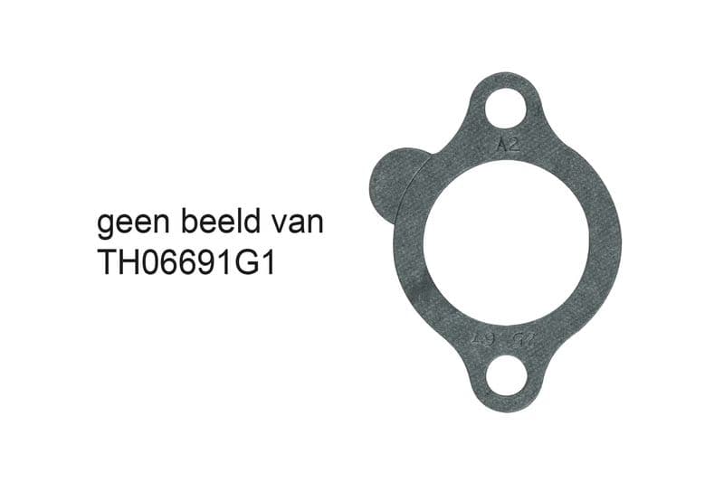 termostat,lichid racire GATES TH06691G1