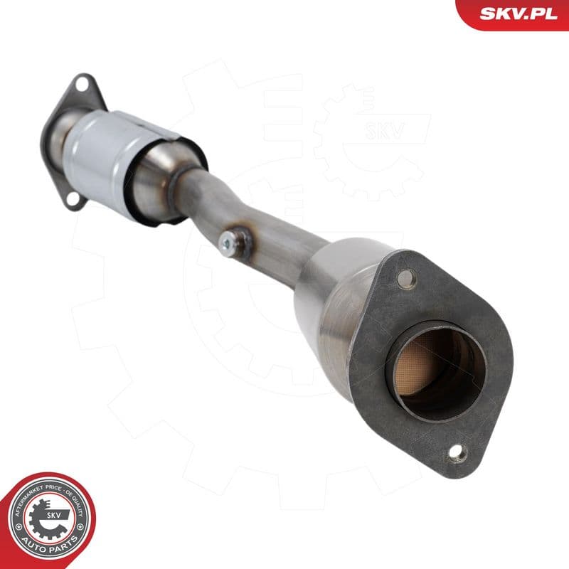 Catalizator ESEN SKV 62SKV171