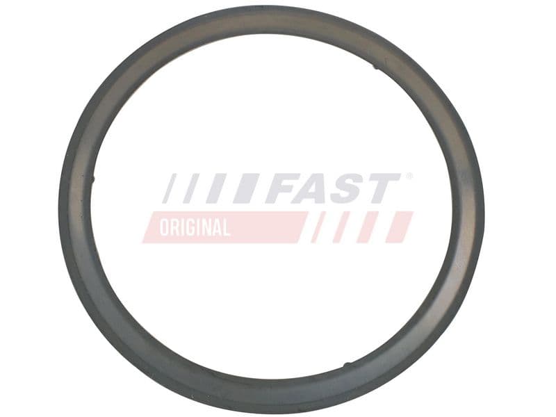 Garnitura, racord evacuare FAST FT84595