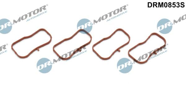 Set garnituri, galerie admisie Dr.Motor Automotive DRM0853S