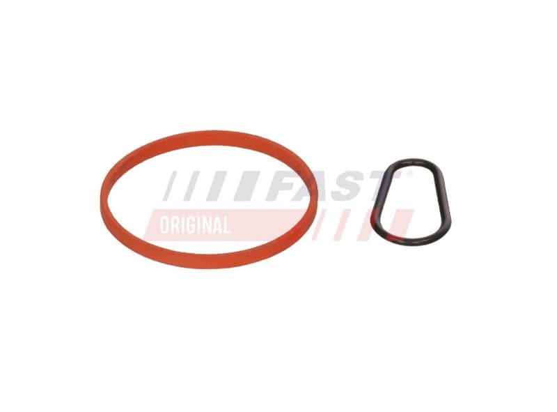 Garnitura, pompa vacuum FAST FT48943