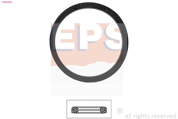 Garnitura termostat EPS 1.890.556