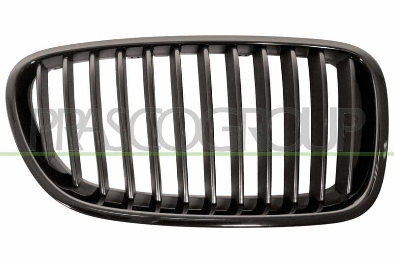 Grila radiator PRASCO BM0492003