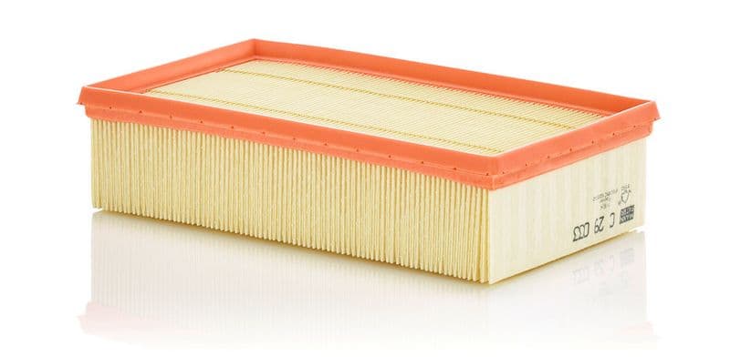 Filtru aer MANN-FILTER C 29 033