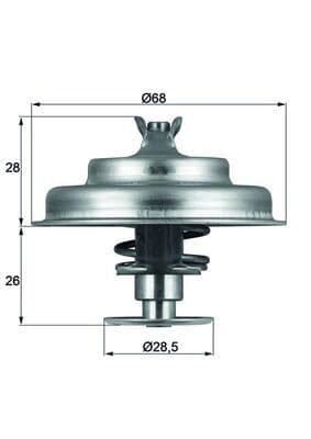 termostat,lichid racire MAHLE BEHR TX 75 80D