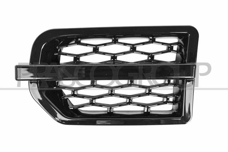 Elemente decorative/protectie, aripa BLIC LR0321414
