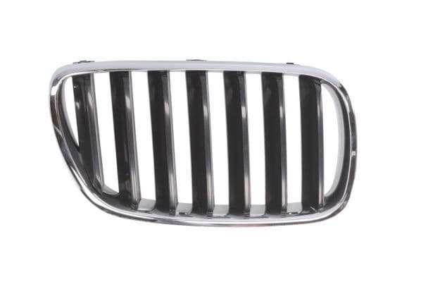 Grila radiator BLIC 6502-07-00939920P