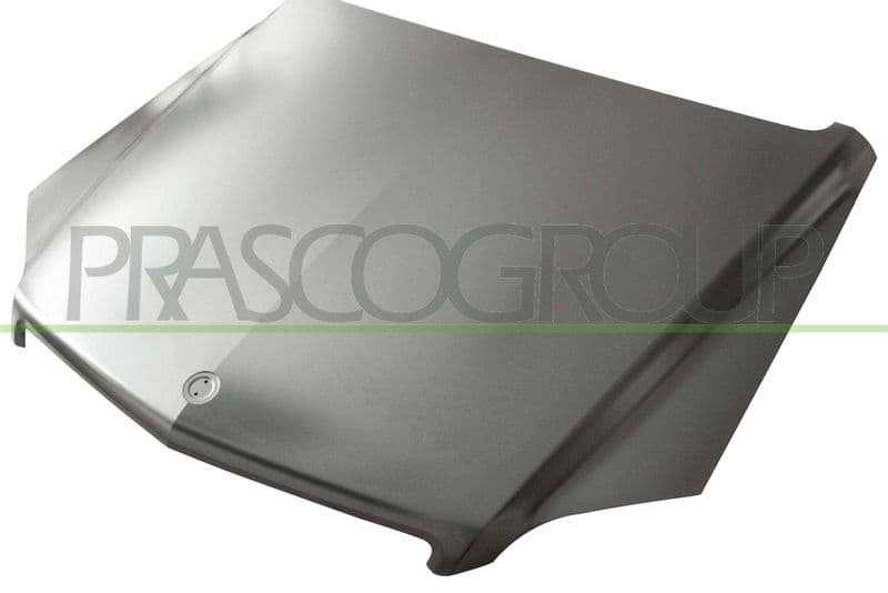 Capota motor PRASCO ME7103100