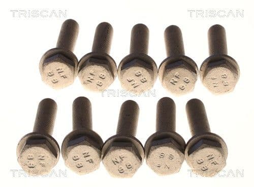 Bolturi fixare, brat suspensie TRISCAN 8501 0526