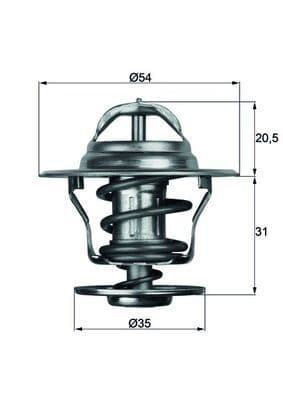 termostat,lichid racire MAHLE BEHR TX 13 87D