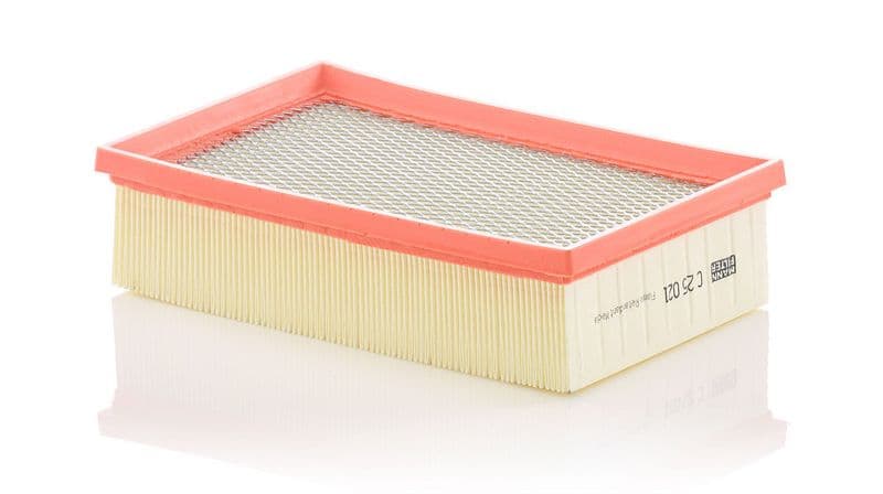 Filtru aer MANN-FILTER C 25 021