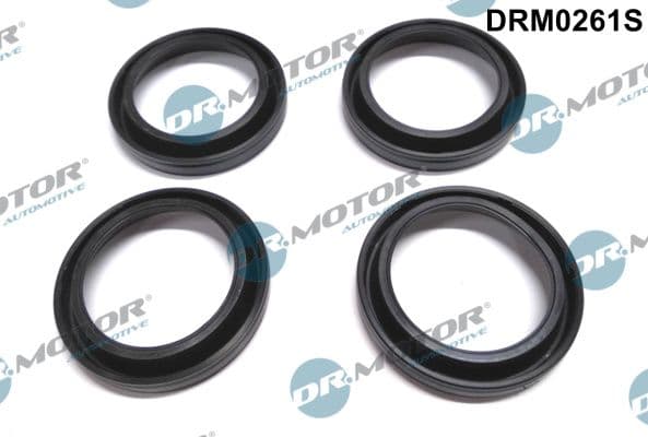 Etansare, suport injector Dr.Motor Automotive DRM0261S
