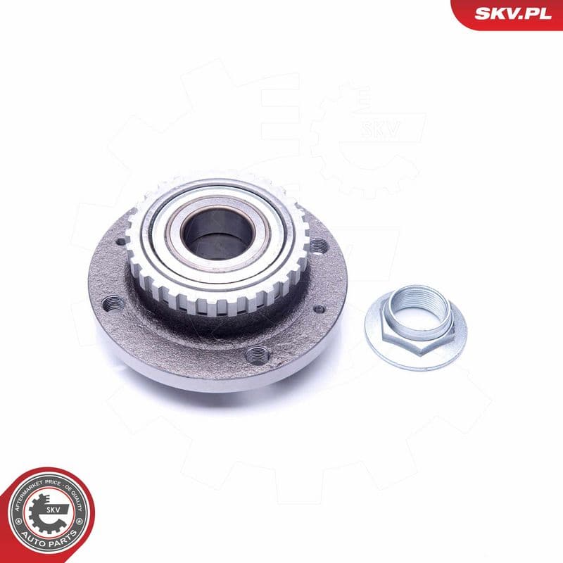 Set rulment roata ESEN SKV 29SKV201