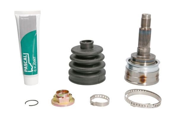 Set articulatie, planetara PASCAL G13011PC