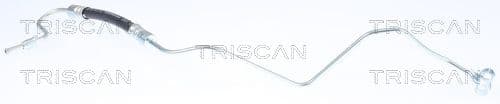 Furtun frana TRISCAN 8150 28290