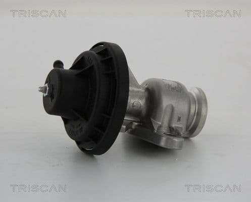 Supapa EGR TRISCAN 8813 29034