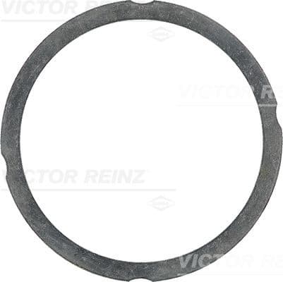 Garnitura, chiulasa VICTOR REINZ 61-25475-60