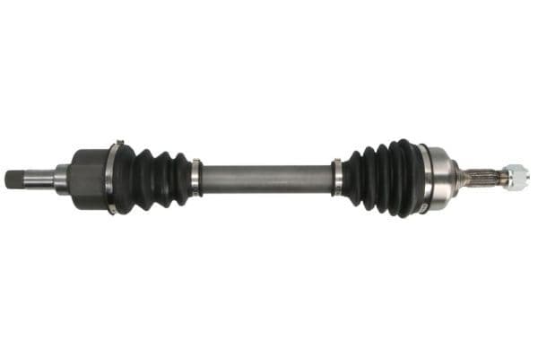 Planetara PASCAL G2P001PC