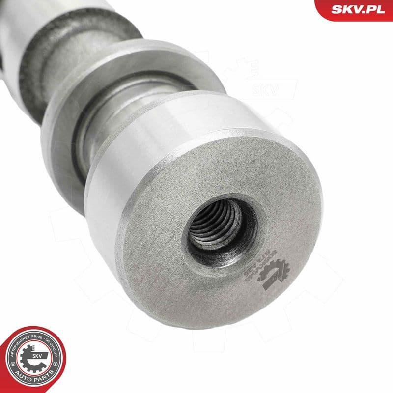 Ax cu came ESEN SKV 80SKV045