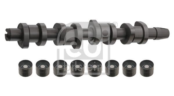 Set ax cu came FEBI BILSTEIN 33195