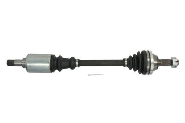 Planetara PASCAL G2P031PC