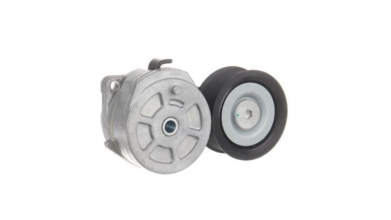 Intinzator curea, curea distributie SKF VKMCV 56005