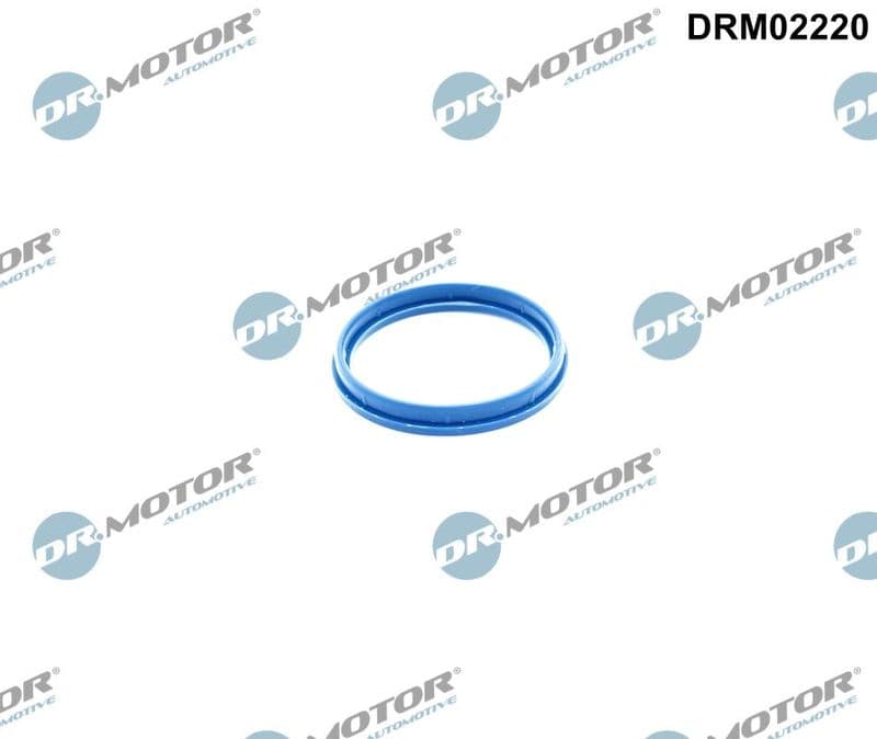 Garnitura, Carcasa galerie admisie Dr.Motor Automotive DRM02220