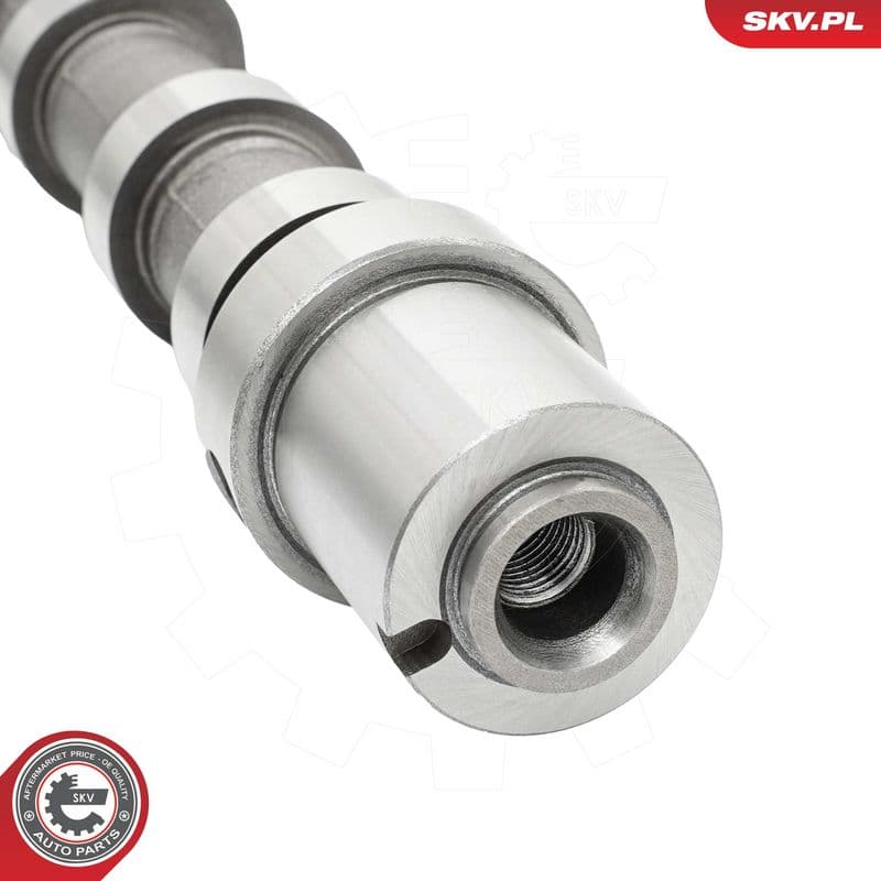 Ax cu came ESEN SKV 80SKV024