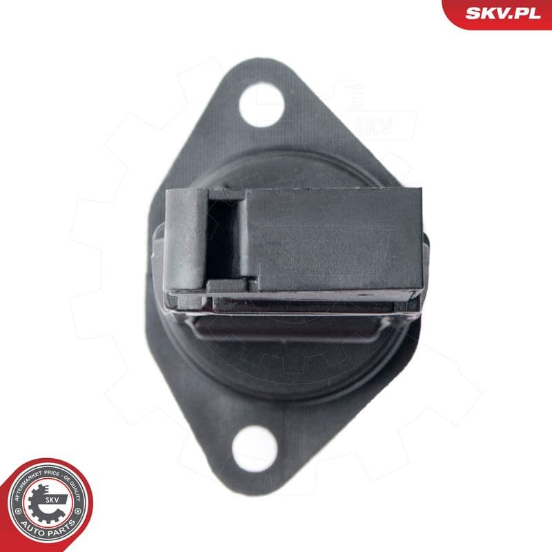 senzor debit aer ESEN SKV 07SKV507