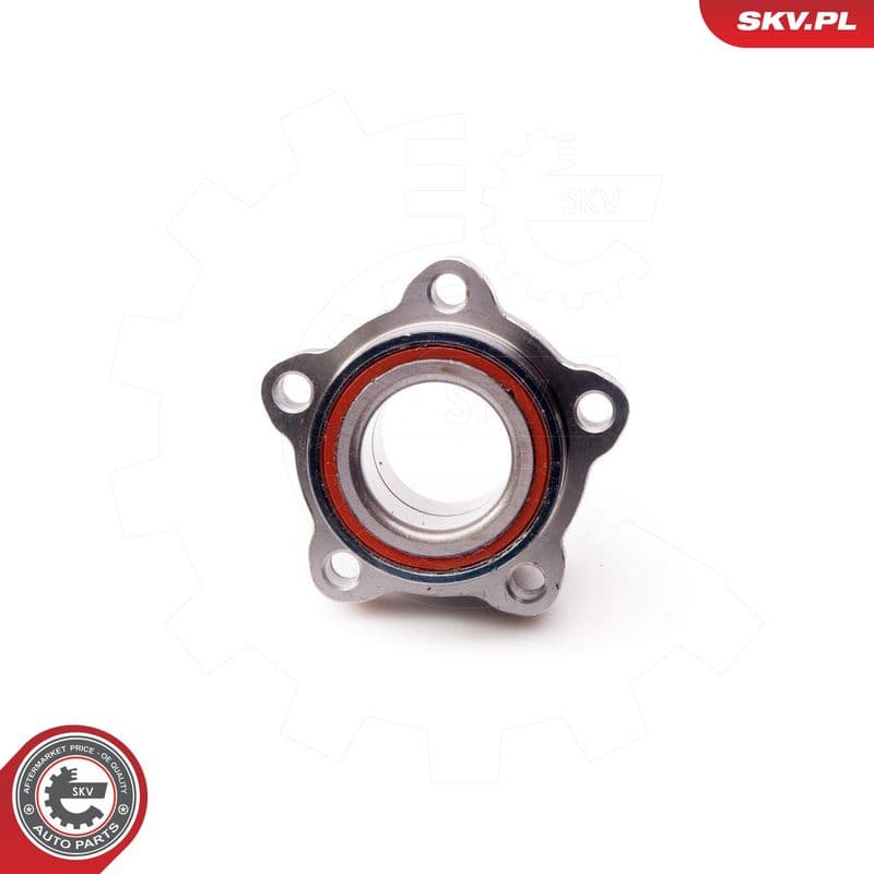 Set rulment roata ESEN SKV 29SKV064