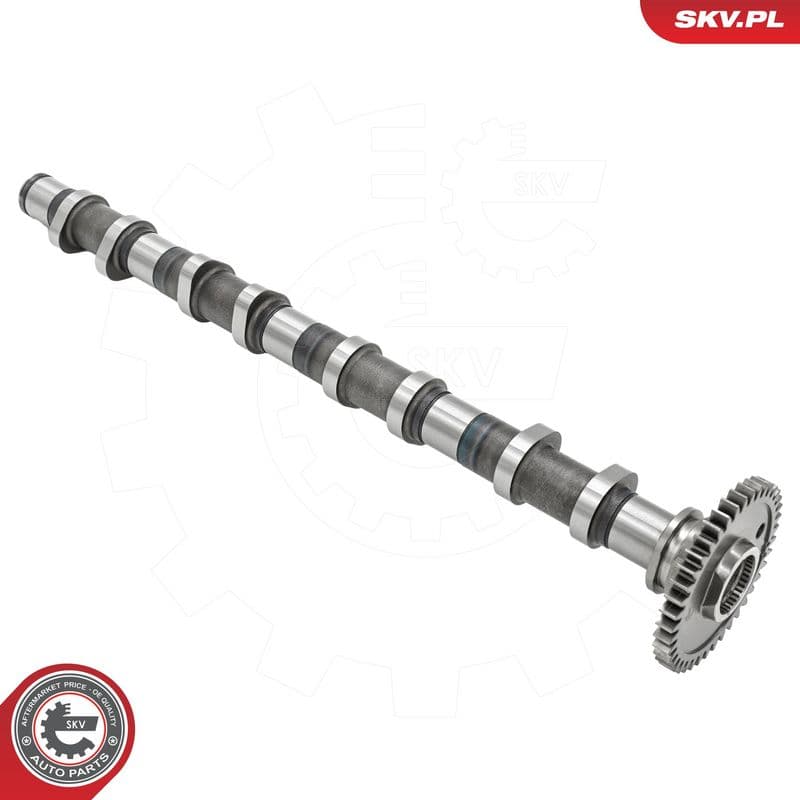 Ax cu came ESEN SKV 80SKV056
