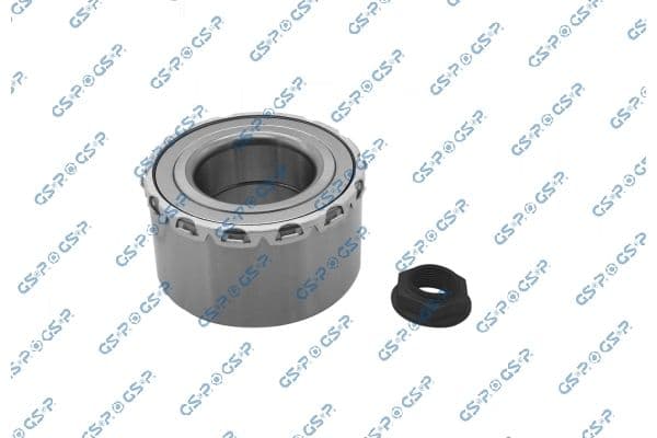 Set rulment roata GSP GK00X6